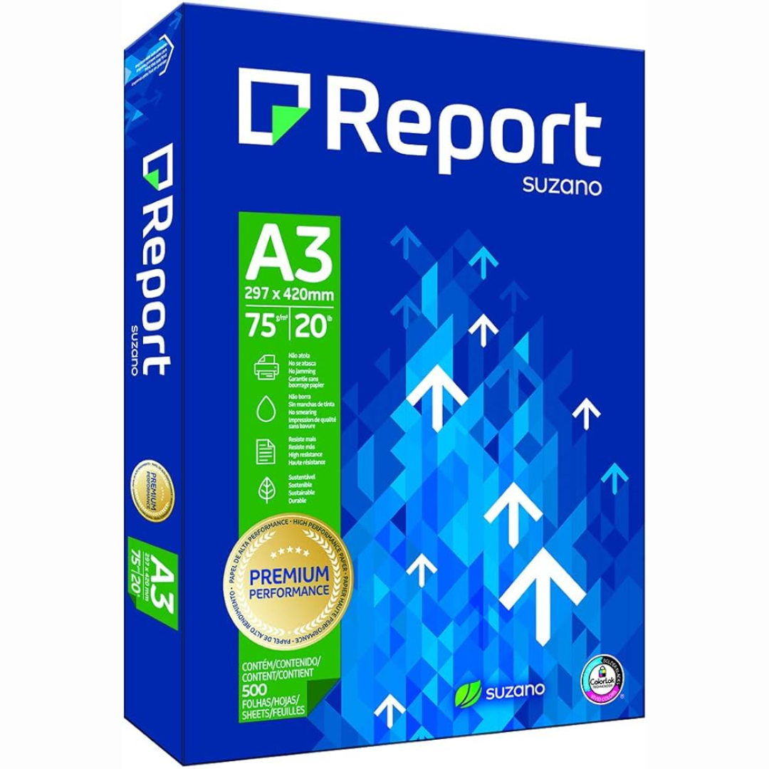 Papel A3 - Report