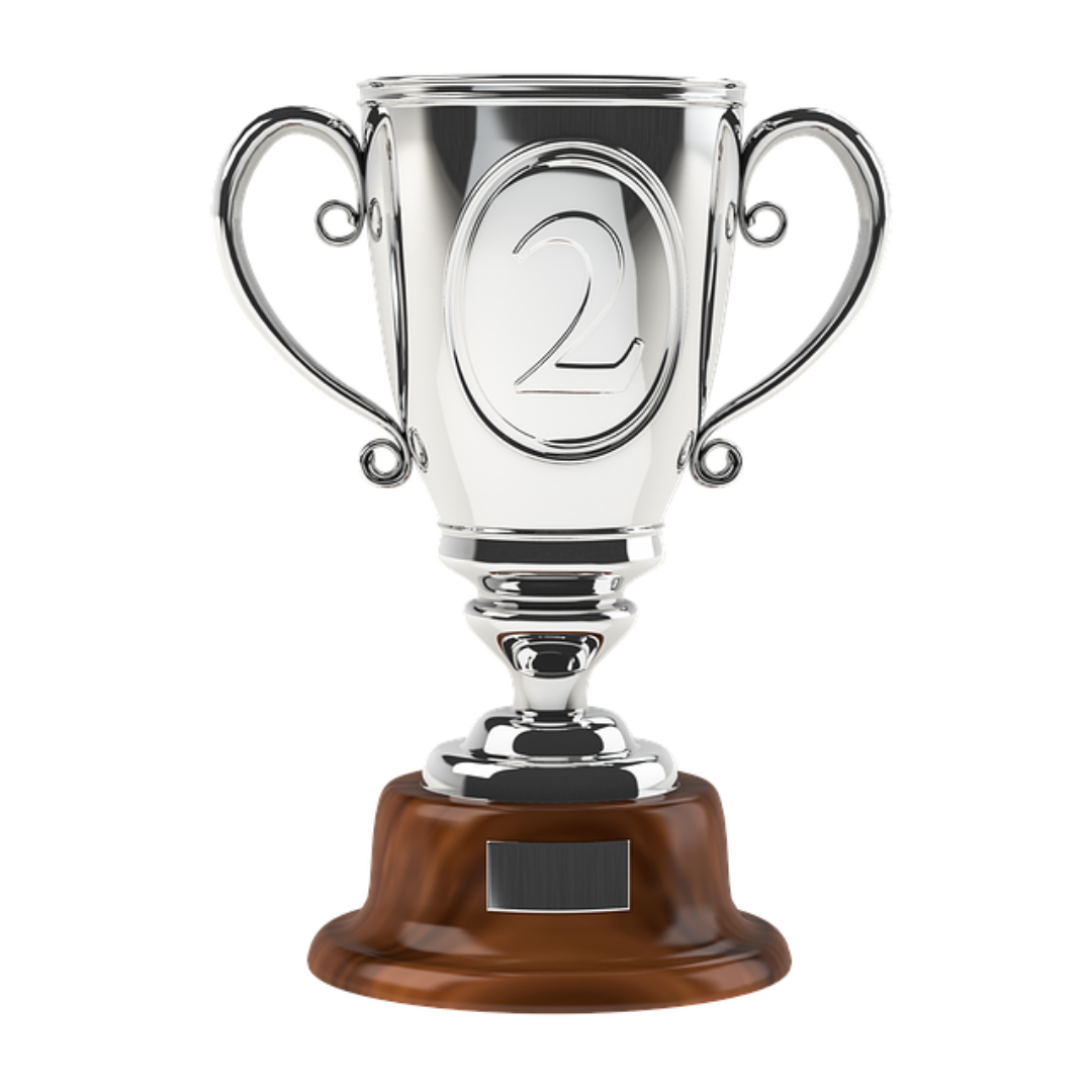 Troféus de Vice Campeão